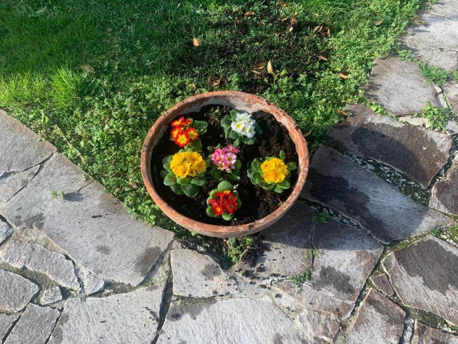 Leupupe Relax Cultura Mare Monti Apartamento Cascina Exterior foto